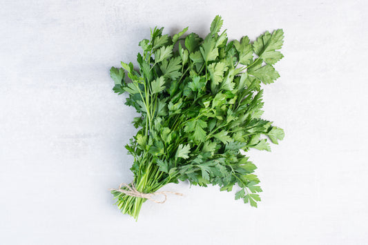 دھنیا  (Fresh Coriander)