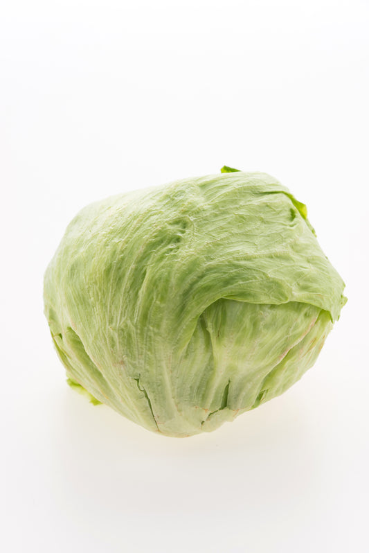 آیس برگ   (Iceburg Lettuce)