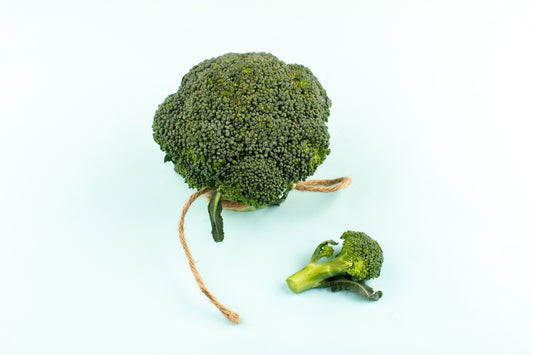 بروکلی   (Broccoli)